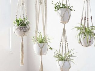 WANTED: Macrame Plant Hangers
